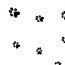 Sacchetti SOS stampati "Zampe di cane" 8.9x5.1x19.1cm con soffietto (100 pezzi) [G3PAW]