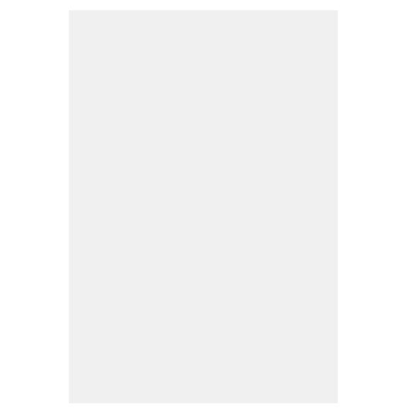 Pergaminpapier Bögen 33x48,3cm (25 Stück) [GS1319]