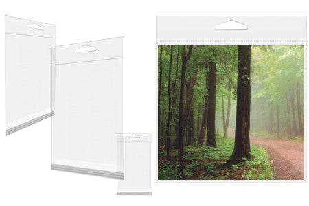 Sachet refermable à trou de suspension euro et transparence cristalline 7.6x10.2cm (500 pièces) [J5]