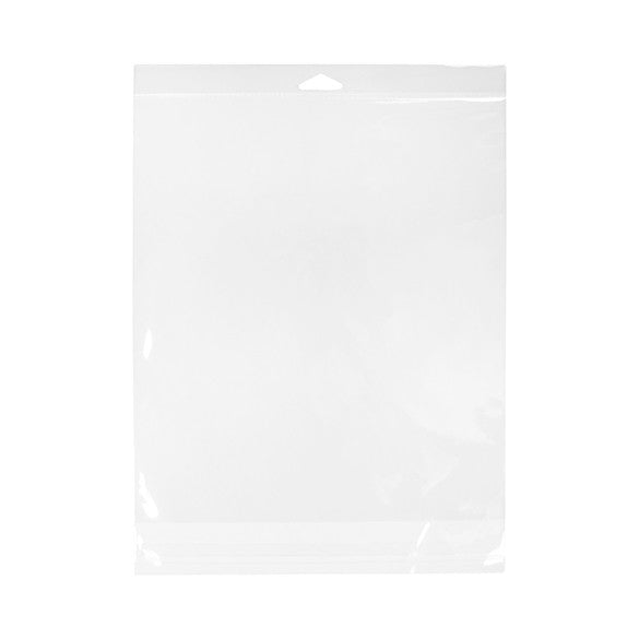 Sacchetti con foro di sospensione 26x29.2cm richiudibili e trasparenti (100 pezzi) [HB1011]