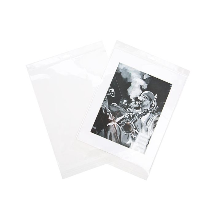 Sacchetti con foro di sospensione 29.1x36.2cm richiudibili e trasparenti (100 pezzi) [HB11]