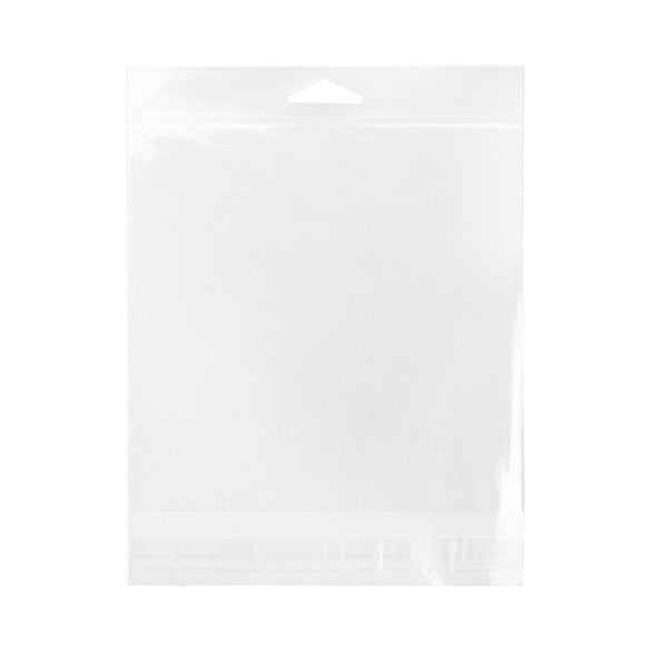 Sacchetti con foro di sospensione 16.4x15.9cm richiudibili e trasparenti (100 pezzi) [HB6X6]