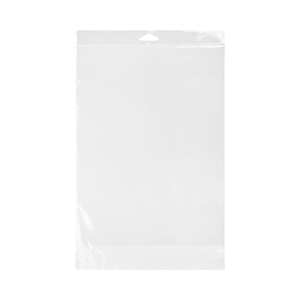 Sacchetti con foro di sospensione 23.2x30.5cm Heavy Duty (100 pezzi) [HB811HD]