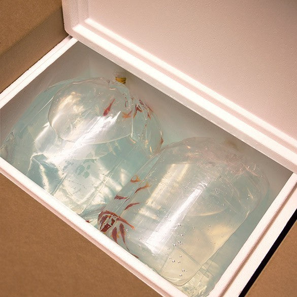 Sacchetto a fondo quadrato Alta Qualità 16.1x16.5x57.2cm (100 pezzi) [3GSBW2]