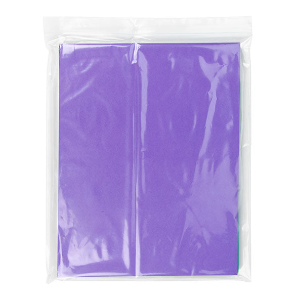 Sacchetto trasparente con chiusura a pressione 25.5x30.5cm PE 50 micron (100 pezzi) [2PE1012]