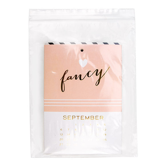 Sachet zip transparent en PE-BD 18x23cm 50 microns (100 pièces) [2PE79]