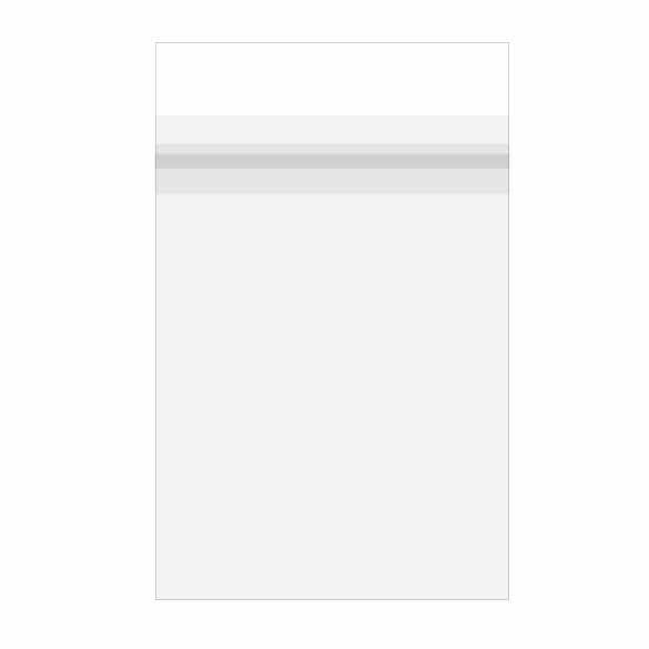 Sachet plastique laminés à transparence cristalline avec rabat sécurisé 15.3x22.9cm (100 pièces) [PL6X9S]