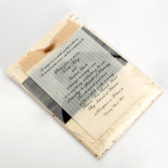 Sachet plastique à rabat avantageux transparence cristalline 13.3x18.1cm (250 pièces) [VL75S]