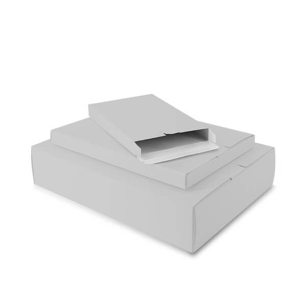 Carton pour Colis 16 x 25 x 2,9 cm Argenté (100 pcs) [FP-VPD013]