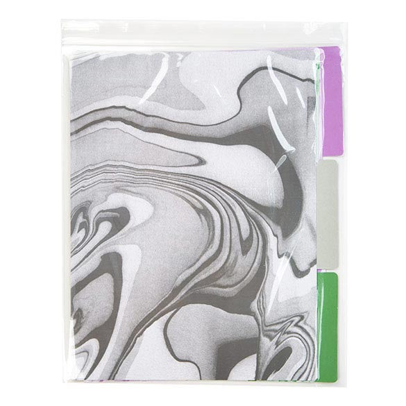 Sacchetto trasparente con chiusura a pressione 25.5x30.5cm PP 100 microns (100 pezzi) [Z4C1012]