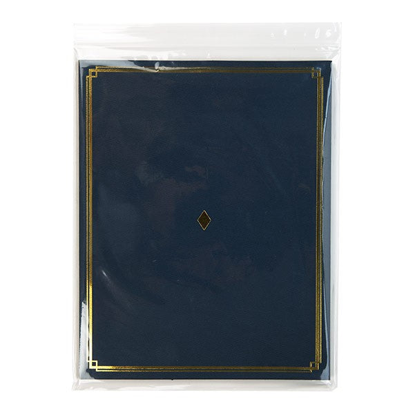 Druckverschlussbeutel mit Euroloch 25.5x33cm Transparent PP 50 Mikron (100 Stück) [ZC1013V]