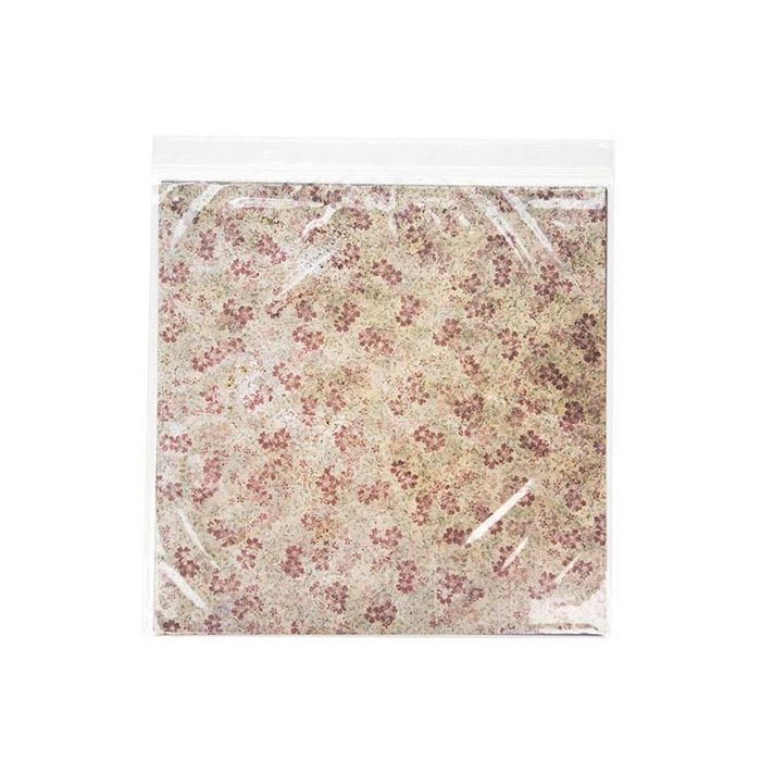 Druckverschlussbeutel 32x32cm Transparent PP 50 Mikron (100 Stück) [ZC12H]