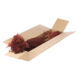 Fleurs Séchées Rouges Broom Bloom (1 Paquet)  [RU-00062.062.9]