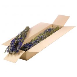 Fleurs Naturelles Séchées Bleues Dauphinelles (1 Paquet)  [RU-00102.000.9]
