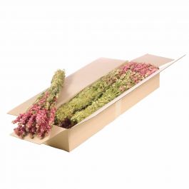 Fleurs Naturelles Séchées Roses Dauphinelles (1 Paquet)  [RU-00104.000.9]