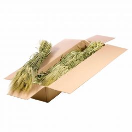Fleurs Naturelles Séchées Vertes Orges (1 Paquet)  [RU-00190.000.9]