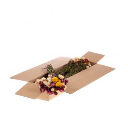 Fleurs Naturelles Séchées mix Helichrysum (1 Paquet)  [RU-00215.000.9]