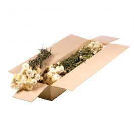 Fleurs Naturelles Séchées Blanches Helichrysum (1 Paquet)  [RU-00228.000.9]