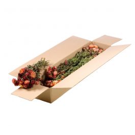 Fleurs Naturelles Séchées Saumon Helichrysum (1 Paquet)  [RU-00230.000.9]