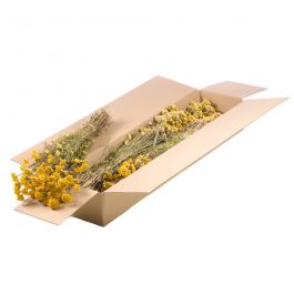 Fleurs Naturelles Séchées Jaunes Lona (1 Paquet)  [RU-00340.000.9]