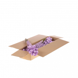 Fleurs Séchées Lilas Misty Pavot (1 Paquet)  [RU-00454.087.9]