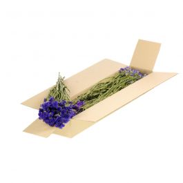 Fleurs Naturelles Séchées Bleues Limonium sinuatum (1 Paquet)  [RU-00562.000.9]