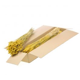 Fleurs Séchées Jaunes Tarwe (Blé) (1 Paquet)  [RU-00574.032.9]