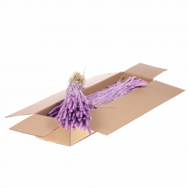 Fleurs Séchées Lila Misty Tarwe (Blé) (1 Paquet)  [RU-00574.087.9]