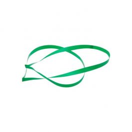 Ruban élastique de décoration Vinyle Stretch à dérouler vert 50.8cm (50 Pièces) [20CVLGR]