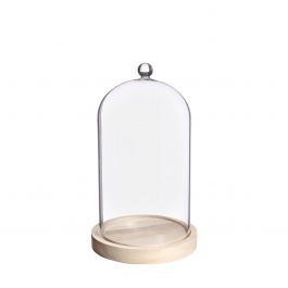 Cloche en verre avec bouton en verre avec base en bois Ø14 h.23,5 cm (1 pc) [IFS-29314]