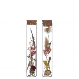 Tube en verre avec 2 fleurs séchées différentes Ø3cm - 15cm haut (12 pièces.) [IFS-29343]