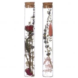 Tube en verre avec 2 fleurs séchées différentes Ø3cm - 20cm haut (12 pièces.) [IFS-29344]
