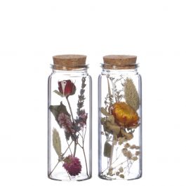 Tube en verre avec 2 fleurs séchées différentes Ø4.5cm 12,5cm haut (12 pièces.) [IFS-29346]