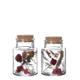Flacon en verre en verre avec 2 fleurs séchées différentes Ø7cm (12 pièces.) [IFS-29394]
