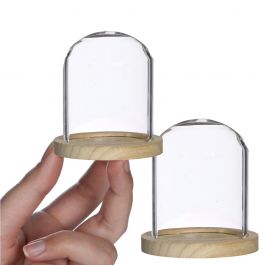 Cloche en verre Ø8cm et 8cm de haut avec bois (6 pièces.) [IFS-29419]