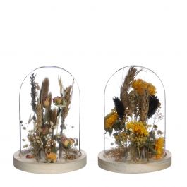 Cloche en verre avec fleurs séchées naturelles Ø10cm (1 pièce.) [IFS-29833]