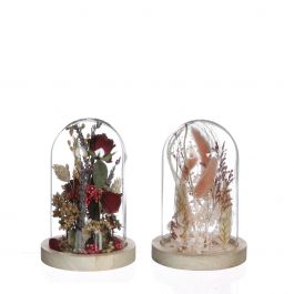 Cloche en verre avec fleurs séchées rose Ø12cm (1 pièce.) [IFS-29844]
