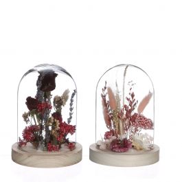 Cloche en verre avec fleurs séchées rose Ø8cm (1 pièce.) [IFS-29848]