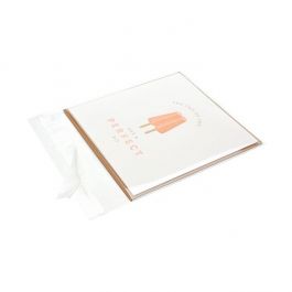 Sachet Plastiques 12x12 cm Transparent et Refermable (100 pcs) [KO-301212]