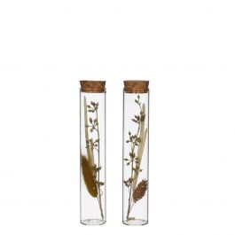 Flacon verre avec plusieurs fleurs séchées naturelles 15cm de haut (12 pièces.) [IFS-30343]