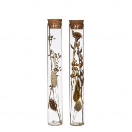 Flacon en verre avec plusieurs fleurs séchées naturelles 20cm de haut (12 pièces.) [IFS-30344]
