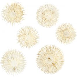 Têtes de Fleurs Séchées, d 3-5 cm, 6 pièces/ 1 Pq. [HOB-50204]