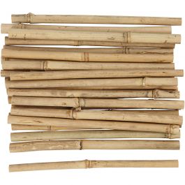 Bâton de bambou, L : 20 cm, ép. 8-15 mm, 30 pièces/ 1 Pq. [HOB-50234]
