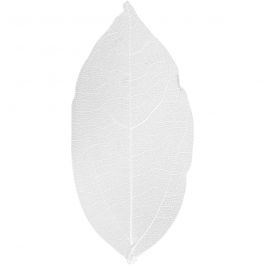 Laubblätter, L 6-8 cm, Weiß, 20 Stk/ 1 Pck [HOB-504491]