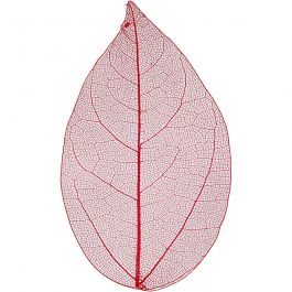 Laubblätter, L 6-8 cm, Rot, 20 Stk/ 1 Pck [HOB-504495]