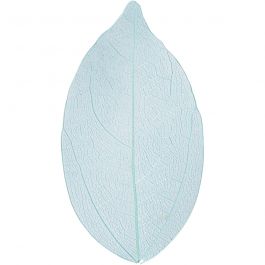Laubblätter, L 6-8 cm, Hellblau, 20 Stk/ 1 Pck [HOB-504498]