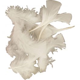 Daunen, Größe 7-8 cm, Weiß, 500 g/ 1 Pck [HOB-51662]