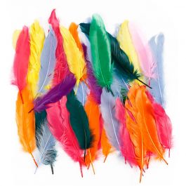 Plumes, L : 12-15 cm, ass. de couleurs, 350 pièces/ 1 Pq. [HOB-51673]