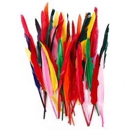 Plumes, L: 29-31 cm, ass. de couleurs, 100 pièce/ 1 Pq. [HOB-51677]