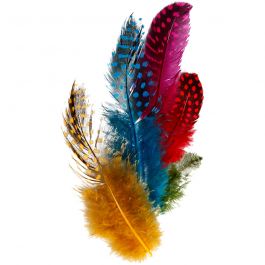 Plumes de pintade, ass. de couleurs, 3gr/ 1 Pq. [HOB-51813]